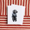 Everyday Greeting Card Pack (3ct) "Preppy Black Lab" by Ramus & Co - 2 of 4