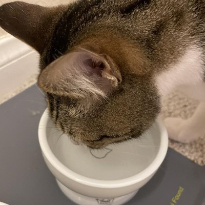 Necoichi Raised Cat Water Bowl : Target