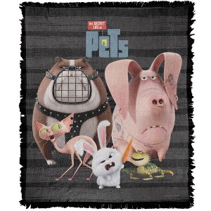 Secret Life Of Pets Abandoned Pet Group Blanket 50"x60" Woven Tapestry - 1 of 4