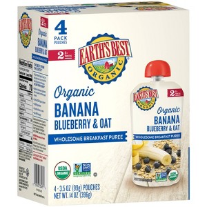 Earth's Best Organic Blueberry Banana Flax & Oat Baby Food Pouch - (Select Count) - 1 of 4