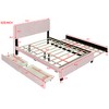 Queen Size Wooden Upholstered Platform Bed Frame with Twin XL Pullout Trundle Bed, and Two Drawers 4Q -ModernLuxe - 3 of 4