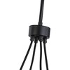 Artcraft Lighting Cheshire 5 - Light Chandelier in  Black/Brass - 4 of 4