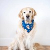 ZippyPaws LINE Friends Dog Bandanas - Cute Summer Dog Stuff, Puppy & Dog Accessories, Dog Birthday Blue Bandana for Girl & Boy - Brown's Space Odyssey - 4 of 4