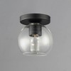 Maxim Lighting Knox 1 - Light Flush Mount in  Black - 2 of 4