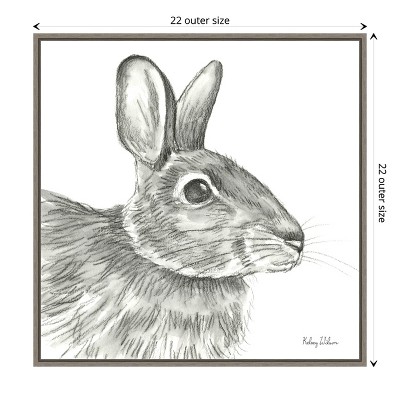 Graphite Rabbit Sketch Framed Canvas Wall Art 22" x 22"