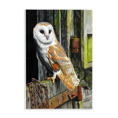 Stupell Industries Owl Perched on Barn Door Wall Plaque Art