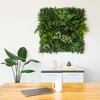 Nearly Natural 40"x40" UV Resistant Amazon Rainforest Artificial Living Wall Panel Green - 2 of 4