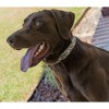 Country Brook Petz Martingale Dog Collar - Camouflage Collection - 2 of 4