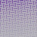 orlando city soccer club