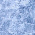 winnipeg jets