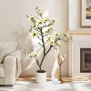 Faux Southern Magnolia Plant Yellow Flowered Magnolia, Artificial Magnolia Tree Inc. Realist Touch Flowers Vivid Leaves White Pot Dry Moss - 2 of 4