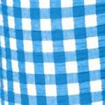 bright cobalt gingham