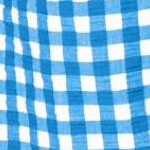 bright cobalt gingham