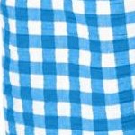 bright cobalt gingham