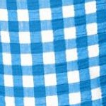 bright cobalt gingham
