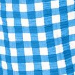 bright cobalt gingham