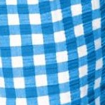 bright cobalt gingham