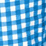 bright cobalt gingham