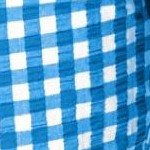 bright cobalt gingham
