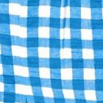 bright cobalt gingham