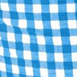 bright cobalt gingham