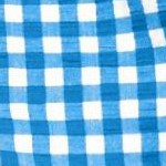 bright cobalt gingham