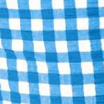 bright cobalt gingham