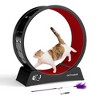 Sandinrayli Cat Treadmill Wheels for Indoor Cats, Black - 3 of 4
