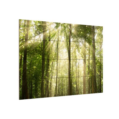 Trademark Fine Art -PIPA Fine Art 'Sunrays Through Treetops' Wood Slat Art