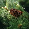 Sullivans Artificial 24" LED Mixed Pine Christmas Wreath with Pinecones, Green, Indoor Christmas Decor - 2 of 4