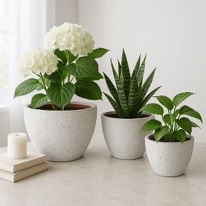 plants in tall pots Set of 2 Large Tall Planter for Indoor or Outdoor