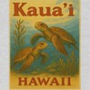 Rerun Island Women's Kauai Hawaii Turtles Short Sleeve Graphic Cotton T-Shirt - Heather Grey L - 2 of 4