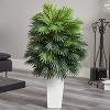 HomeStock  5.5 ft. Artificial Palm Tree in Planter for Indoor/Outdoor - 3 of 4