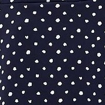navy dot