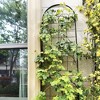 MAYEERTY 2 Pack Metal Garden Trellis 86.7 x 19.7 Inch Rustproof Climbing Plants Support Rose Trellis Netting Black Outdoor - 4 of 4
