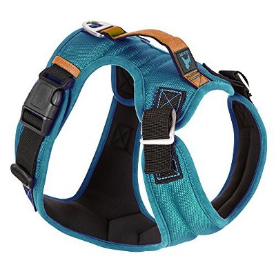 Gooby Pioneer Dog Harness with Control Handle & Seat Belt Restrain Capability, Small, Turquoise