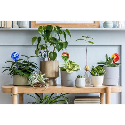Hand-Blown Red and Yellow Glass Plant Watering Globes