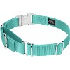 Country Brook Petz Heavyduty Nylon Martingale with Premium Buckle - 2 of 4