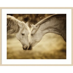 Amanti Art Connections by PHBurchett Wood Framed Wall Art Print - 1 of 4