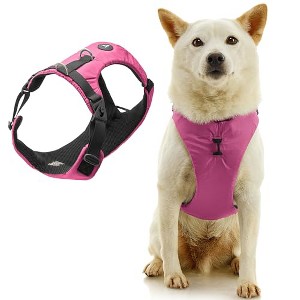 Gooby Trailblazer Harness Raspberry Rose, 2X - 1 of 1
