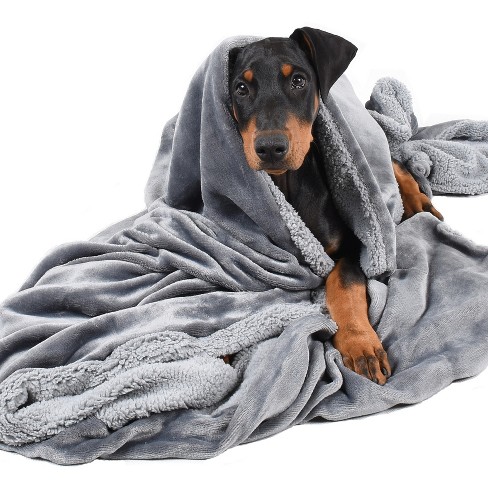 Dog fleece blankets outlet throws