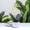 Unique Bargains Artificial Plants Plastic White Yellow 2.36"x2.36"x7.48" 1 Pc - 2 of 4