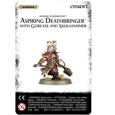 Aspiring Deathbringer With Goreaxe And Skullhammer Warhammer AoS