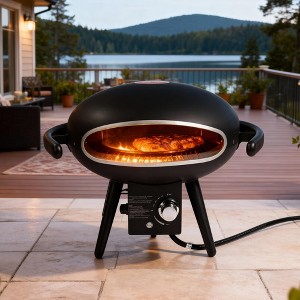 Gas Pizza Oven, Propane Outdoor Pizza Oven, Portable Pizza Oven For 12 Inch Pizzas, With Gas Hose & Regulator - 1 of 4
