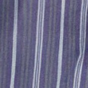 dark purple stripe