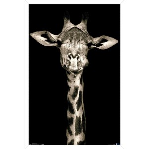 Trends International Portrait of a Giraffe Framed Wall Poster Prints - 1 of 4