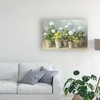 Trademark Fine Art -Danhui Nai 'White Potted Geraniums' Canvas Art - 3 of 4