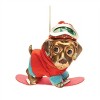 Glittered Snowboarding Dog Ornament (Set of 6) - 2 of 3