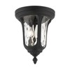 Livex Lighting Oxford 2 - Light Flush Mount in  Textured Black - 4 of 4