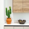 Nearly Natural 28-in Artificial Cactus in Terracotta Planter - 4 of 4